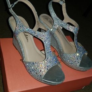 Silver Shimmery Wedges